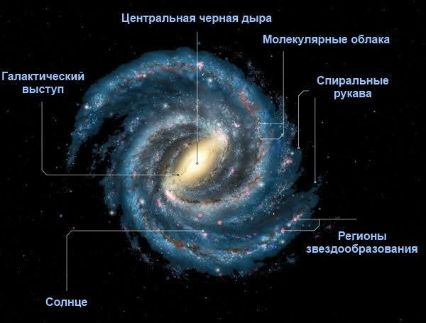 Где находится Солнце в Млечном Пути?