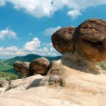 Трованты - это уникальные, похожие на луковицы камни, которые кажутся живыми благодаря своей способности расти с течением времени. Эти родительские камни могут даже производить более мелкие трованты, которые затем растут самостоятельно.