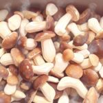 Можно ли замораживать грибы сырыми: какие можно, какие нужно отварить, как правильно подготовить, сколько хранить и почему нельзя размораживать повторно.